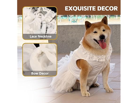Formal Dog Dresses for Large Dogs White Dog