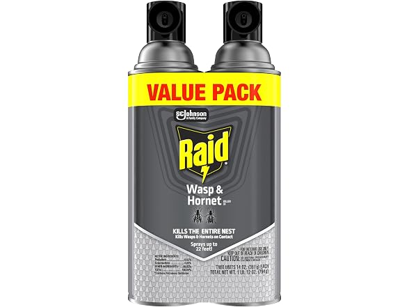 Raid GAR-03 Raid Wasp & Hornet Killer 14 Oz, 2 Ct