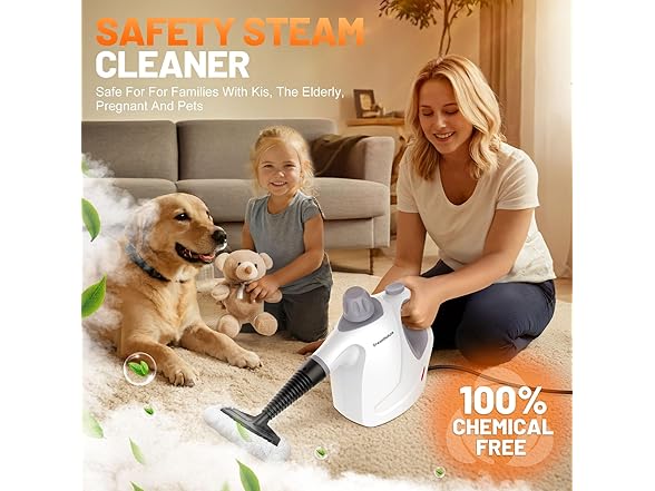 Handheld Pressurized Steam Cleaner