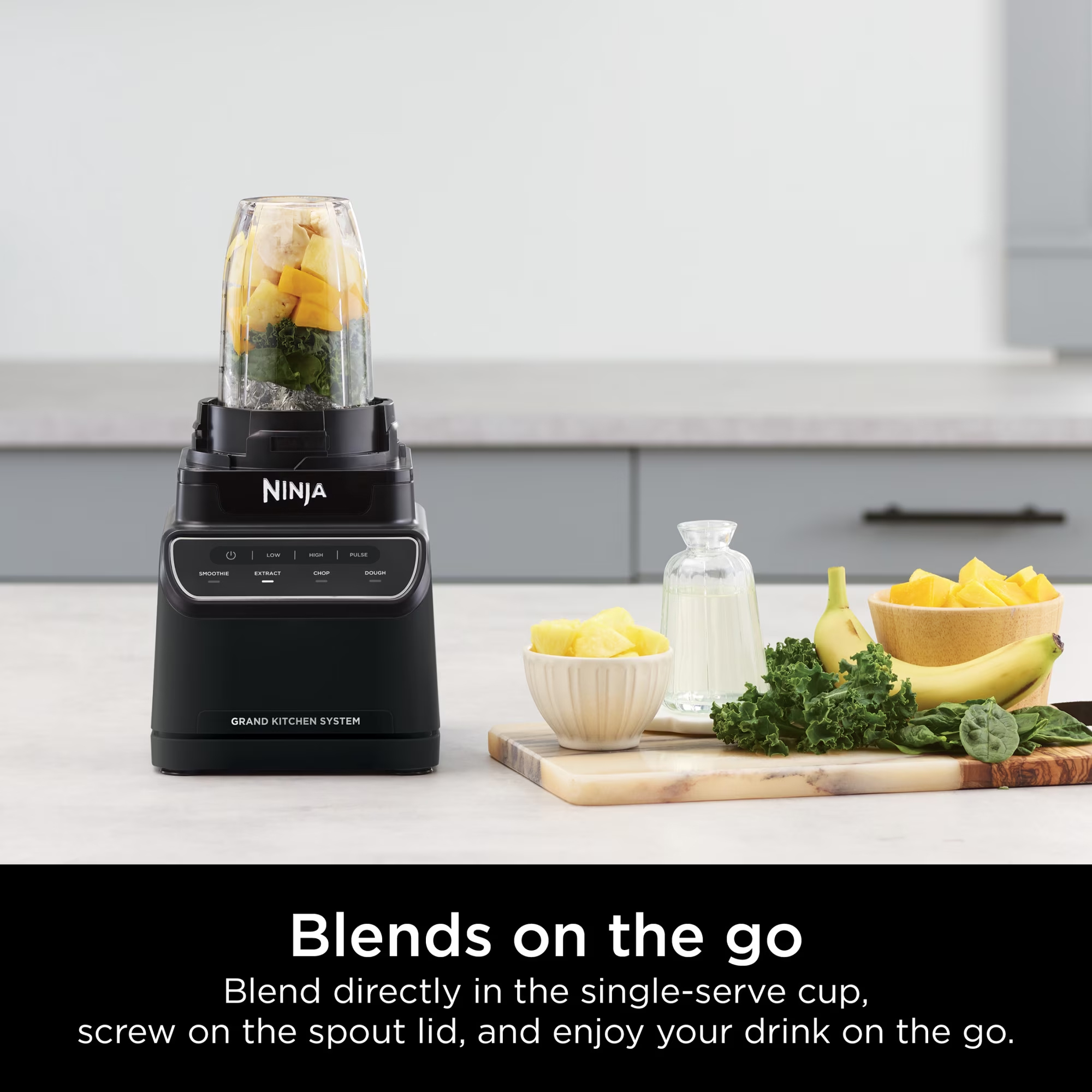 Ninja Grand Kitchen System Blender - Gallery 22