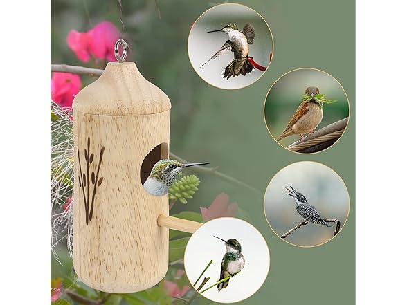 lotmusic Hummingbird House 3 Pack