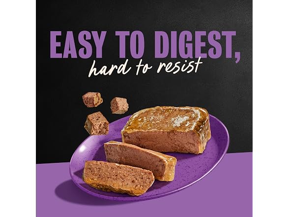 24ct Cesar Classic Loaf in Sauce Adult Wet Dog Food