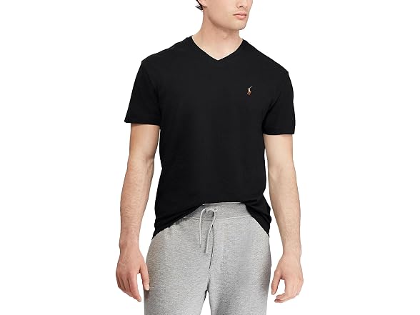 Polo Ralph Lauren Men (M) Classic 2021 T-Shirt