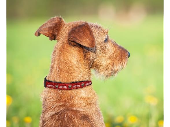 Pets First NHL Collar for Dogs & Cats. Adjus