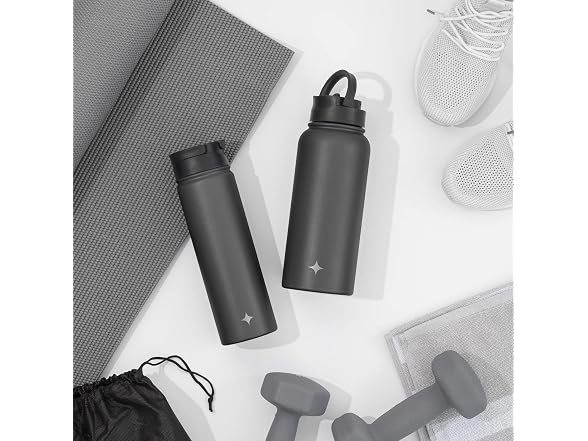 JoyJolt Triple Insulated Water Bottle