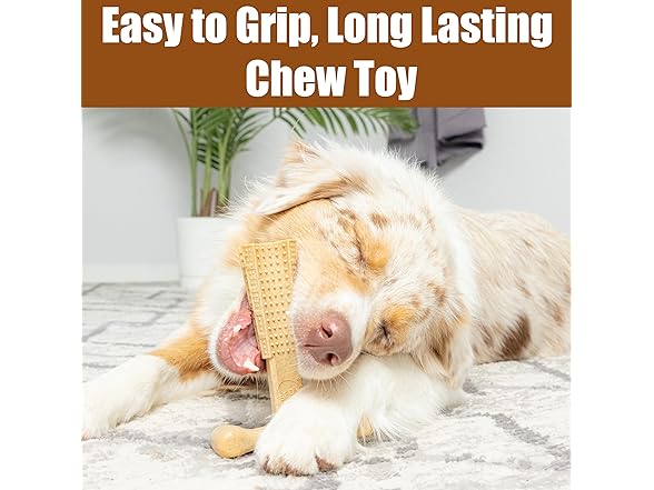 SPOT Bam-Bones Plus Coffee Wood T-Bone Dog Chew Toy