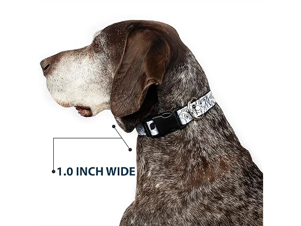 Disney Plastic Clip Dog Collar