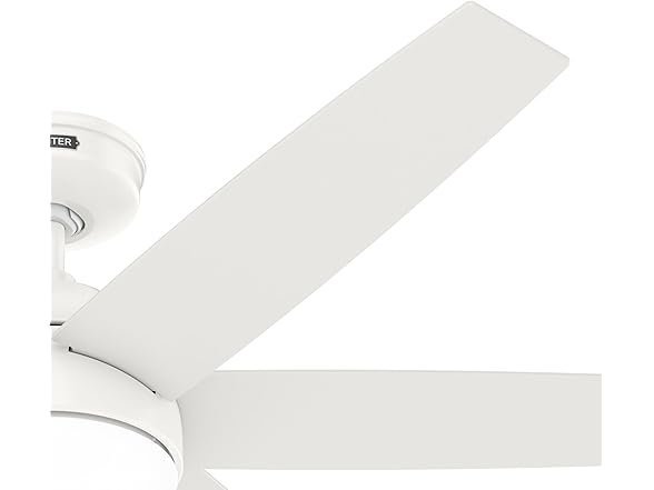 Hunter Fan 52 Inch White Indoor Ceiling Fan with Light and Remote