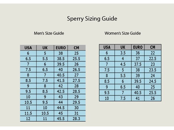 Sperry Baitfish Men's Flip Flops