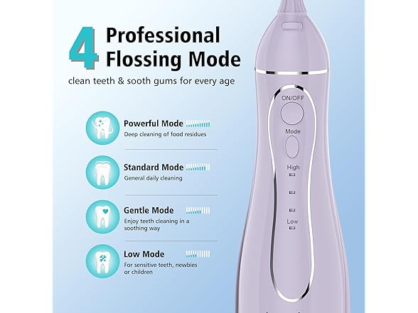 Leominor Water Dental Flosser Pick
