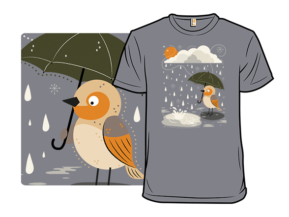 Raindrops and a Little Bird