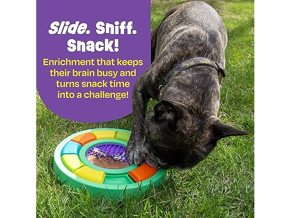 Brightkins Color Wheel Treat Puzzle & Lick Mat