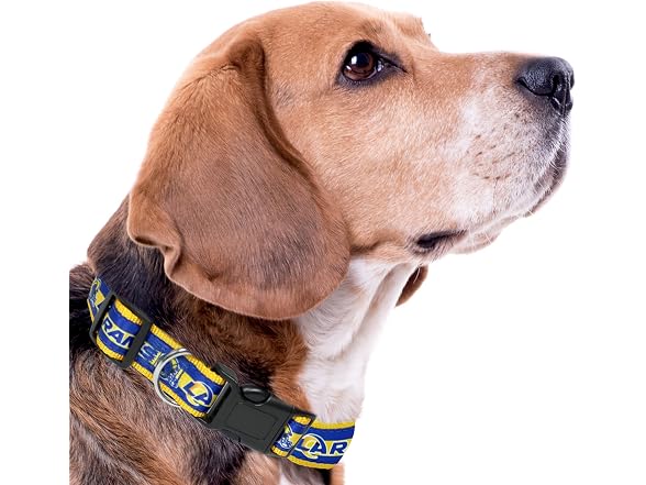NFL PET Collar Los Angeles Rams Dog Collar, Med