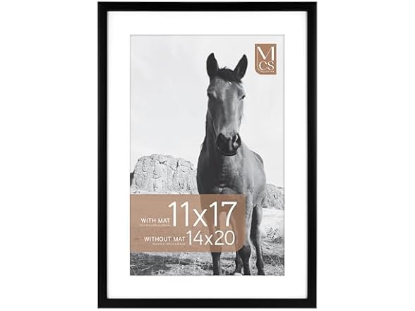 MCS Everline Collection 14x20 Matted Poster Frame