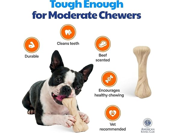 American Kennel Club Training Dog Chew Toy, Large Bone