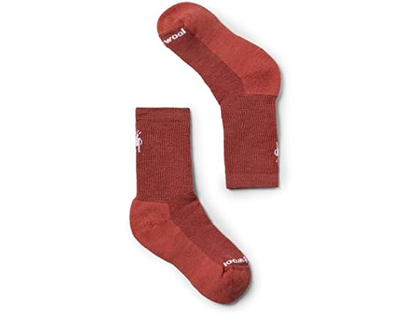 Smartwool Kids (S) Hike Full Cushion Crew Socks (T