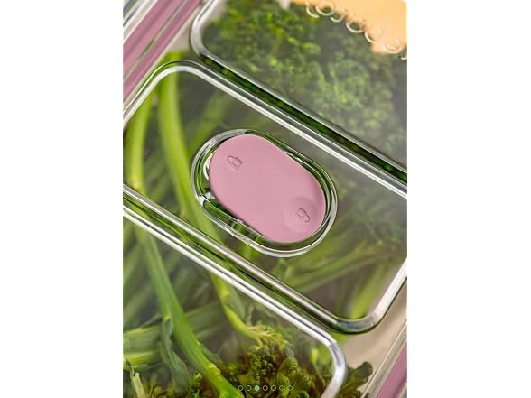 Latchlok Click 1.9 Cup Food Storage Container