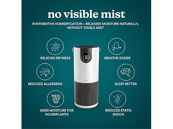 Homedics 2-in-1 Air Purifier & Humidifier