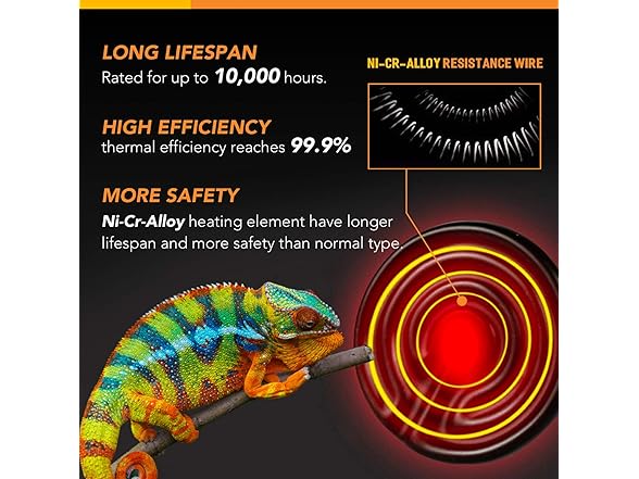 Simple Deluxe 100W 2-Pack Ceramic Reptil