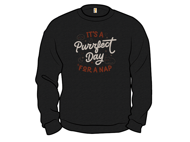 Its a Purrfect Day For a Nap