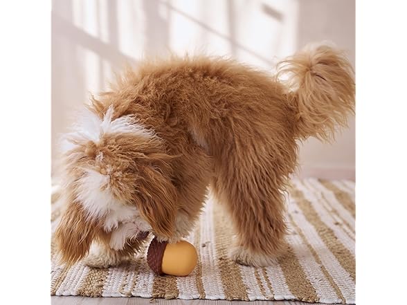 SPOT Treat Tumbler Acorn – Freezable & F