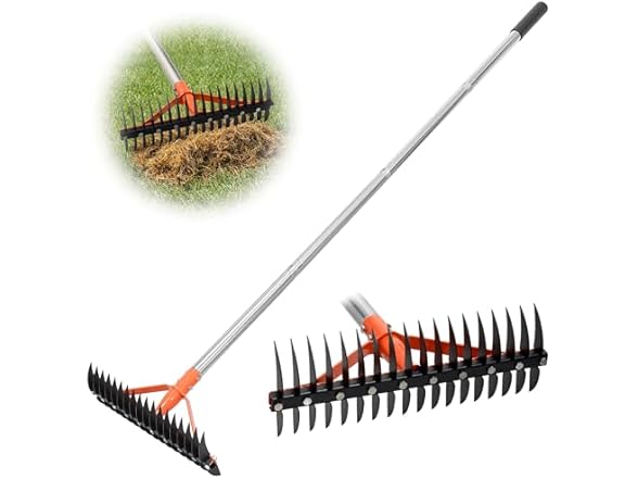 CKLT 18-Tine Thatch Rake 62.5in Handle
