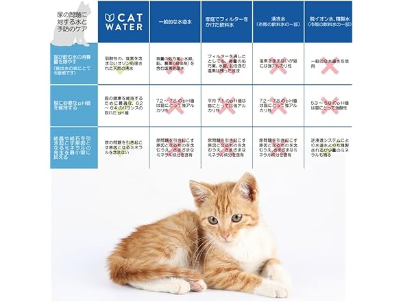 Fantasy World PH Balance Cat Water 4L Cat Water