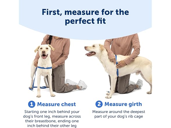 PetSafe Easy Walk Harness, No Pull Dog H Bla