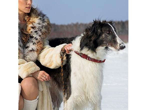 COWBOYS Premium Dog Collar (L)