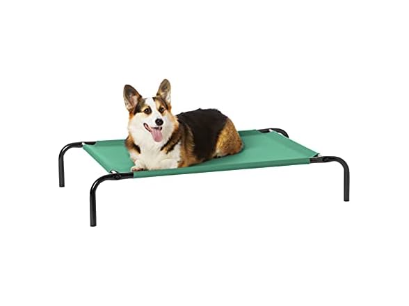 Amazon Basics Cooling Breathable Elevated Dog, Green