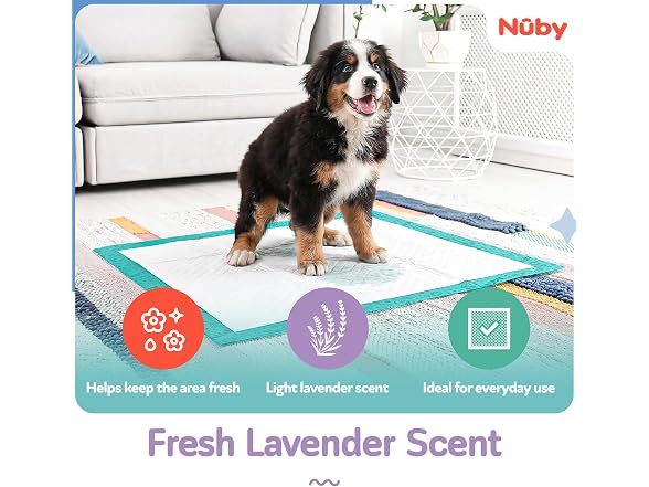 Nuby Pets Lavender Scent Puppy Training Pads 