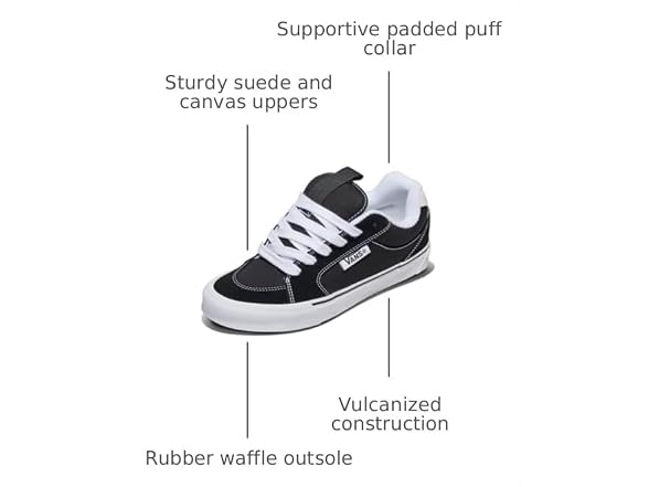 Vans Unisex Chukka Push Skate Shoe
