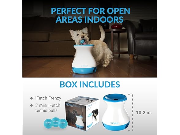 iFetch Frenzy Interactive Dog Toy