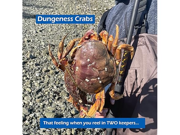 Fishernomics Castable Crab Trap