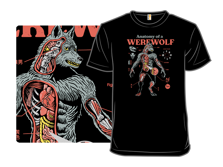 Werewolf Anatomy
