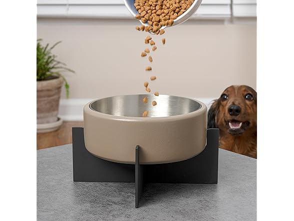 Intersecta Small/Medium Concrete and Stainless Steel Bowl