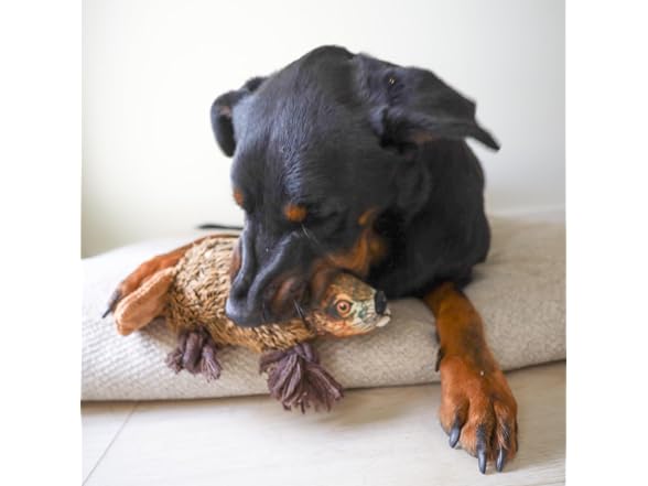 Ropers Beaver Plush Dog Rope Pull Chew Tug Toy