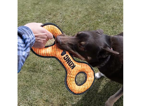 KONG Armor Bone Dog Toy - Medium - Durable Tr