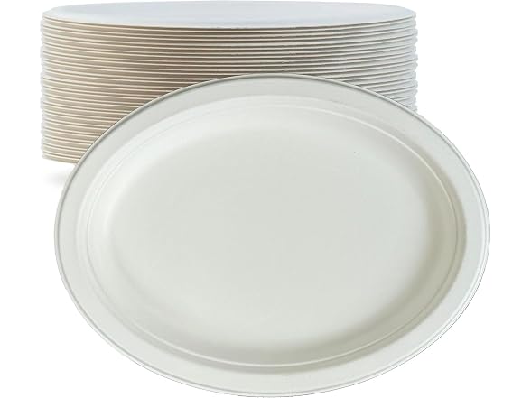 TLAPS 10x8 in White Bagasse Sugarcane Plates 125