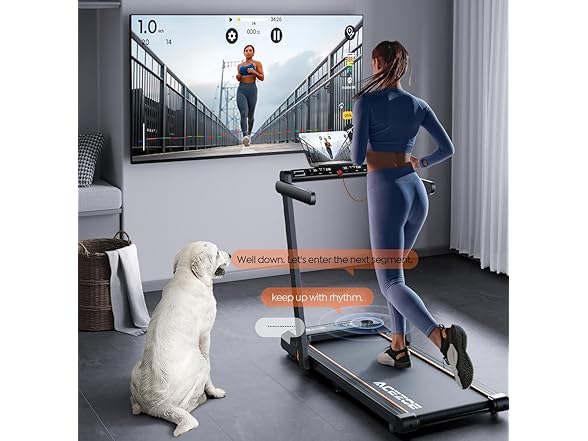 Acezoe 2 in 1 Foldable Treadmill