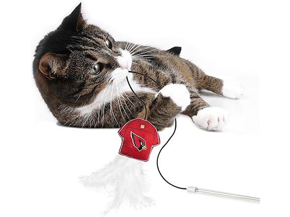 NFL Arizona Cardinals Team Jersey Wand with CAT NIP