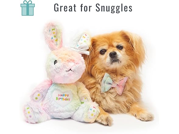 Pet London Happy Birthday Bunny Squeaky Dog