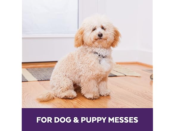urineOFF Dog Stain Remover Pet Urine Stain and Odour Remover