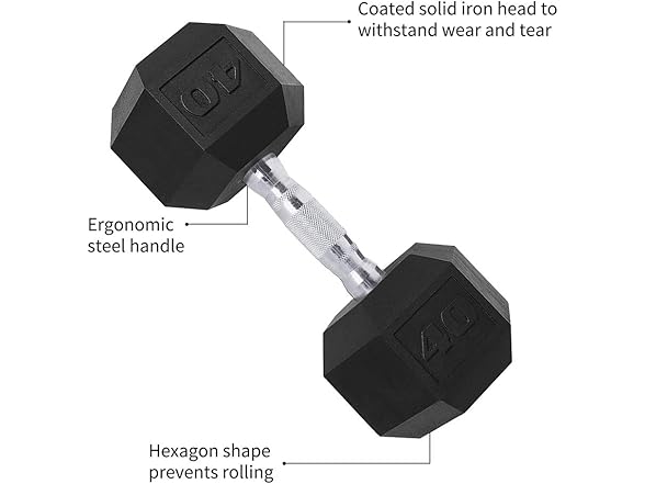 Saorzon Dumbbells Set