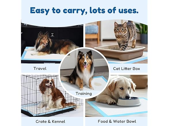FluffyDream Pet Training Pad 22"x22", 100PCS