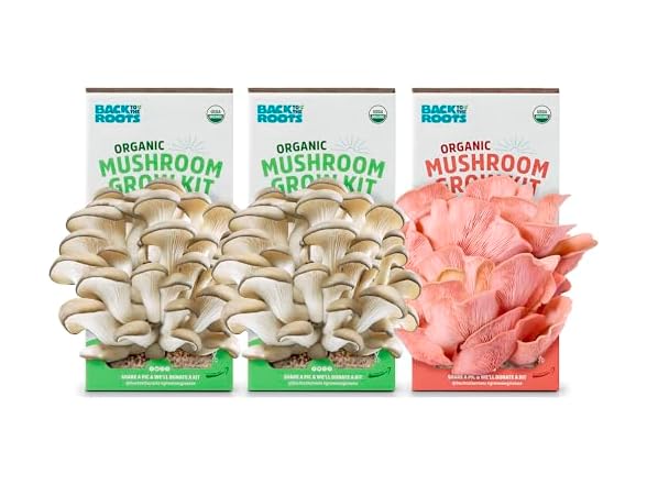 Back to the Roots Organic Mushroom Grow Kit 3-Pack