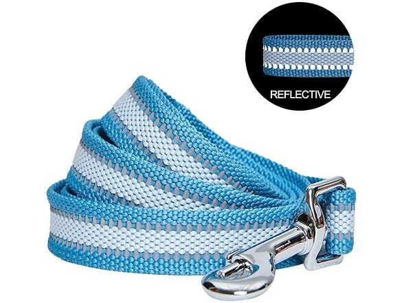 Blueberry Pet Essentials Reflective Better B