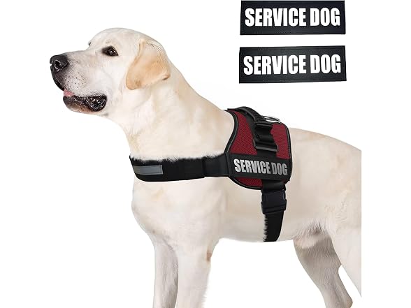ALBCORP Service Dog Vest Harness Medium, Maroon