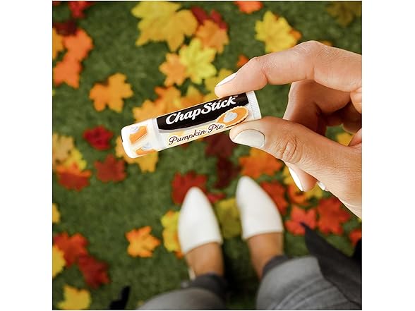 (12 Count) ChapStick Bulk Lip Balm Pumpkin Pie