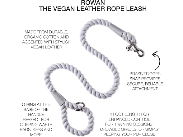 Pet Passion Rowan Dog Training Leash, 4 ft, Gray, One Size